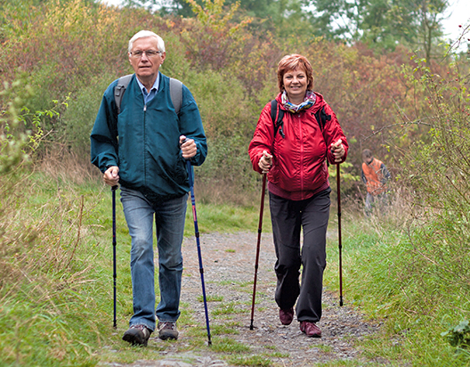 Feel Mentally Energized